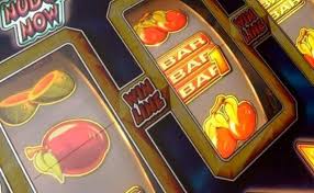 Casino Zooma